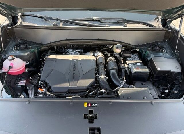 
 Kia Telluride full									