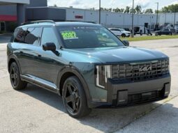 
 Kia Telluride full									