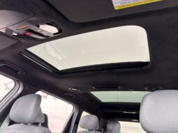 
 Kia Telluride Hybrid full									