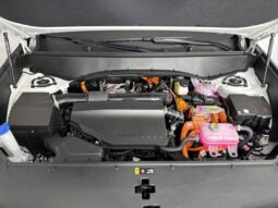 
 Kia Telluride Hybrid full									