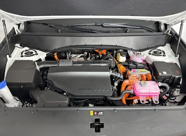 
 Kia Telluride Hybrid full									