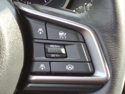 Subaru Ascent full