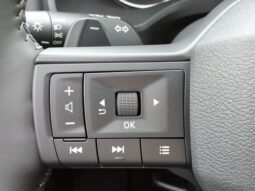 Nissan Rogue full