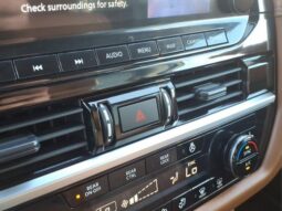 
										Nissan Pathfinder full									
