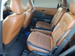 
										Nissan Pathfinder full									