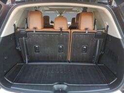 
										Nissan Pathfinder full									