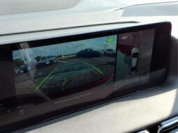 
 Nissan Sentra full									