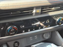 Nissan Rogue full