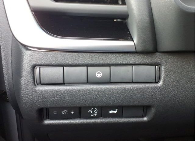 
 Nissan Rogue full									