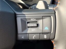 Nissan Rogue full