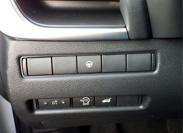 
 Nissan Rogue full									
