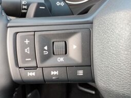 Nissan Rogue full