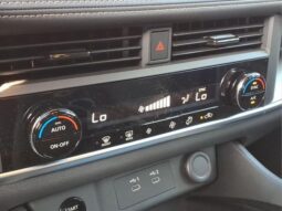 
 Nissan Rogue full									