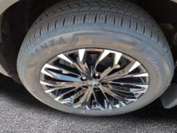 
 Nissan Rogue full									