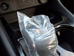 
 Nissan Rogue full									