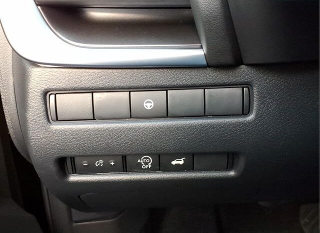 
 Nissan Rogue full									