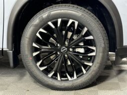 
 Nissan Rogue full									
