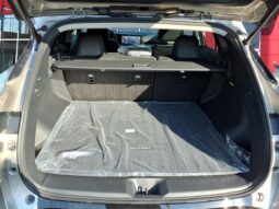
										Nissan Murano full									