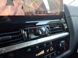 
 Nissan Pathfinder full									