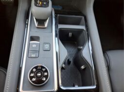 
 Nissan Pathfinder full									
