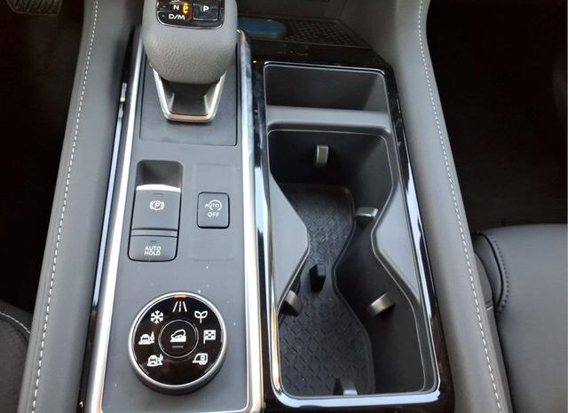 
 Nissan Pathfinder full									