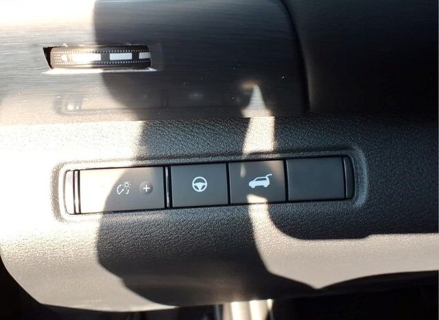 
 Nissan Pathfinder full									