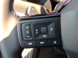 
 Nissan Pathfinder full									