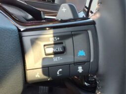 
 Nissan Pathfinder full									