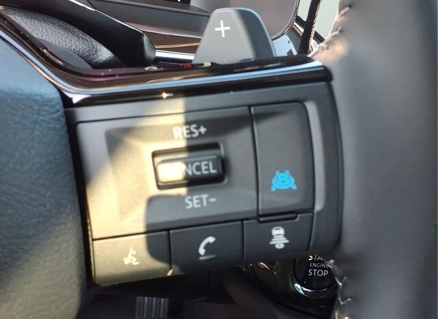
 Nissan Pathfinder full									
