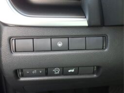 
 Nissan Rogue full									