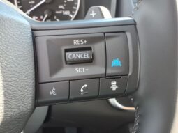 
 Nissan Rogue full									