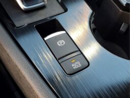 
 Nissan Rogue full									