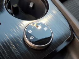 
 Nissan Rogue full									