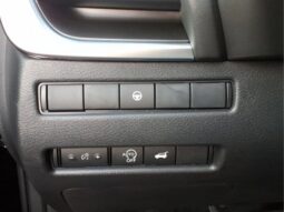 
 Nissan Rogue full									