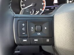 
 Nissan Rogue full									