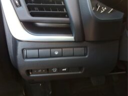 
 Nissan Rogue full									