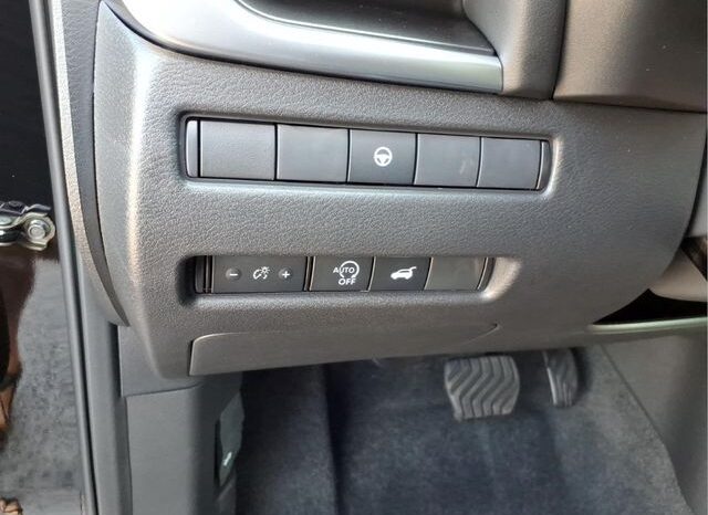 
 Nissan Rogue full									