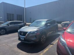 
 Nissan Rogue full									