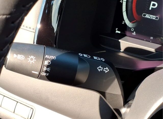 
 Nissan Pathfinder full									