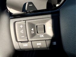 
 Nissan Pathfinder full									