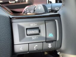 
 Nissan Pathfinder full									