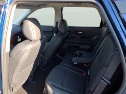 
 Nissan Pathfinder full									