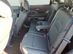
 Nissan Pathfinder full									