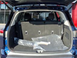 
 Nissan Pathfinder full									