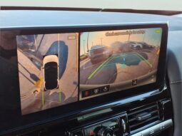 
 Nissan Pathfinder full									
