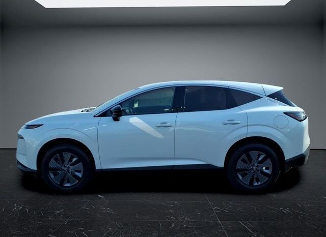 
 Nissan Murano full									
