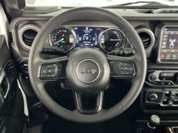 
 Jeep Wrangler full									