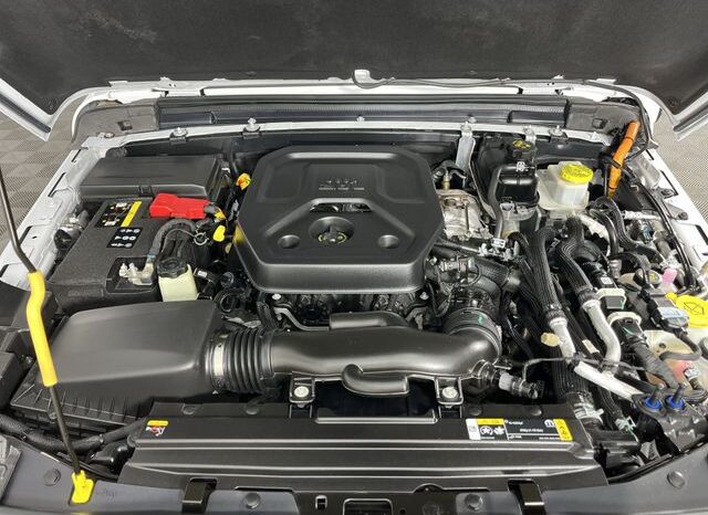 
 Jeep Wrangler full									