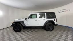 
 Jeep Wrangler full									