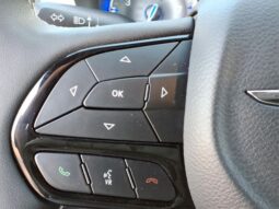 
 Chrysler Pacifica full									